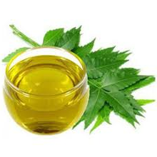 வேப்பெண்ணை 100ml